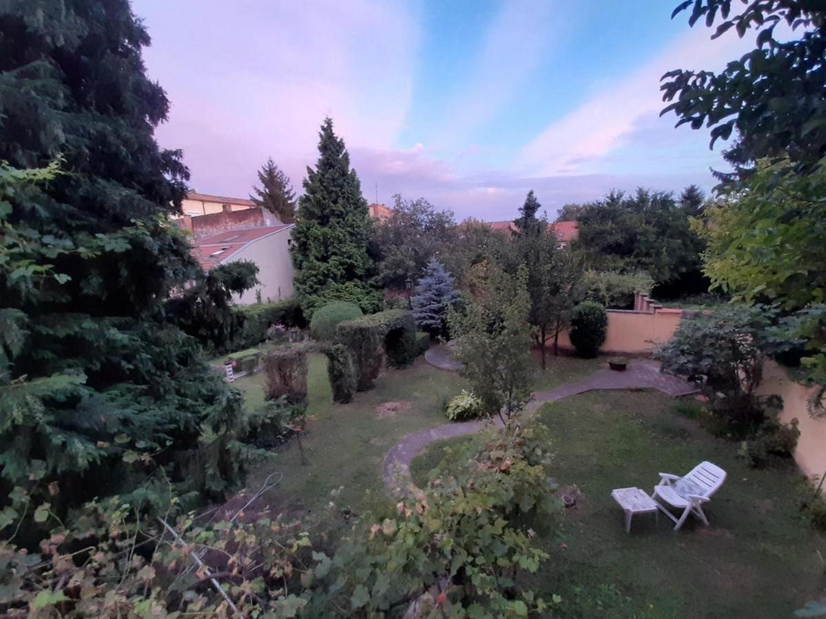 Cocic Garden Appartement Osijek Buitenkant foto