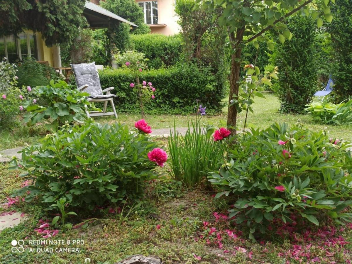 Cocic Garden Appartement Osijek Buitenkant foto