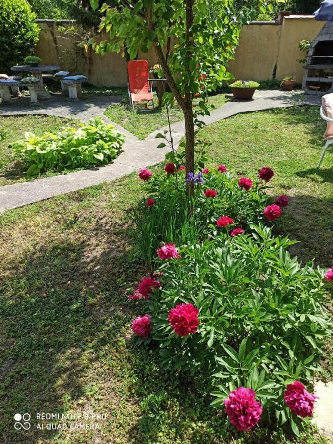Cocic Garden Appartement Osijek Buitenkant foto